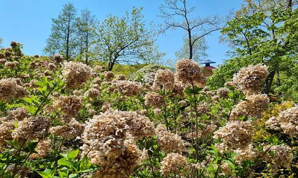 석모도 수목원