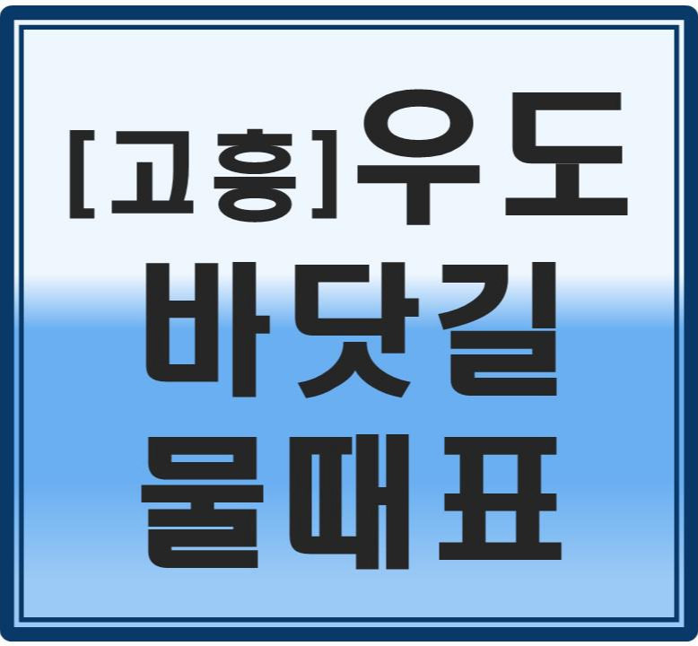  2021년 1월 [고흥]우도 (바닷길) 물때표