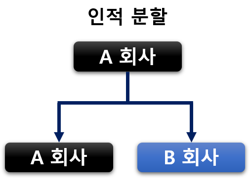 인적 분할 설명 다이어그램