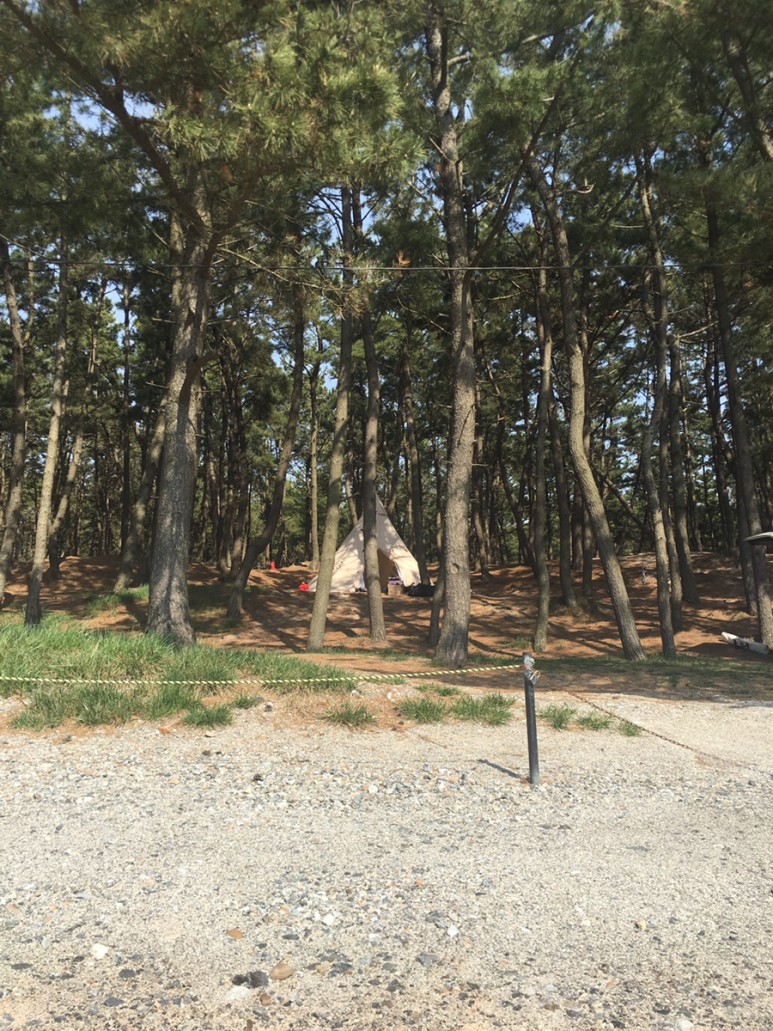  태안 웨스턴백사장오토캠핑장 2박3일 캠핑기