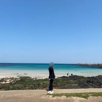 우도 여행 제주도 우도 배편 시간 요금_23