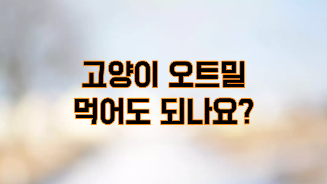 고양이 오트밀 먹어도 되나요?