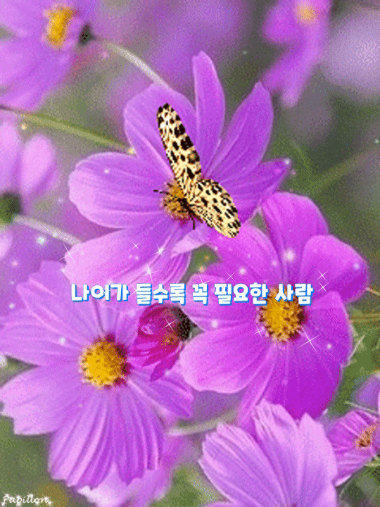  나이가 들수록 꼭 필요한 사람