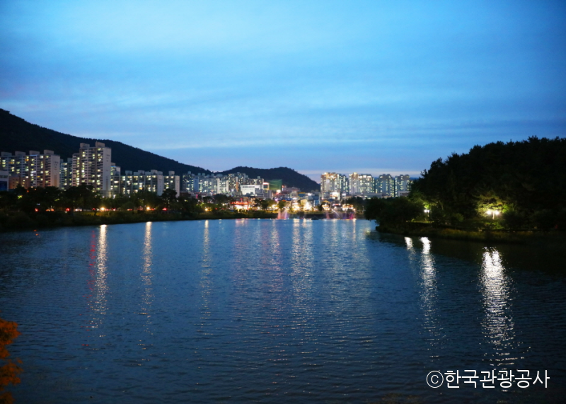 전라남도 순천 조례호수공원 야경