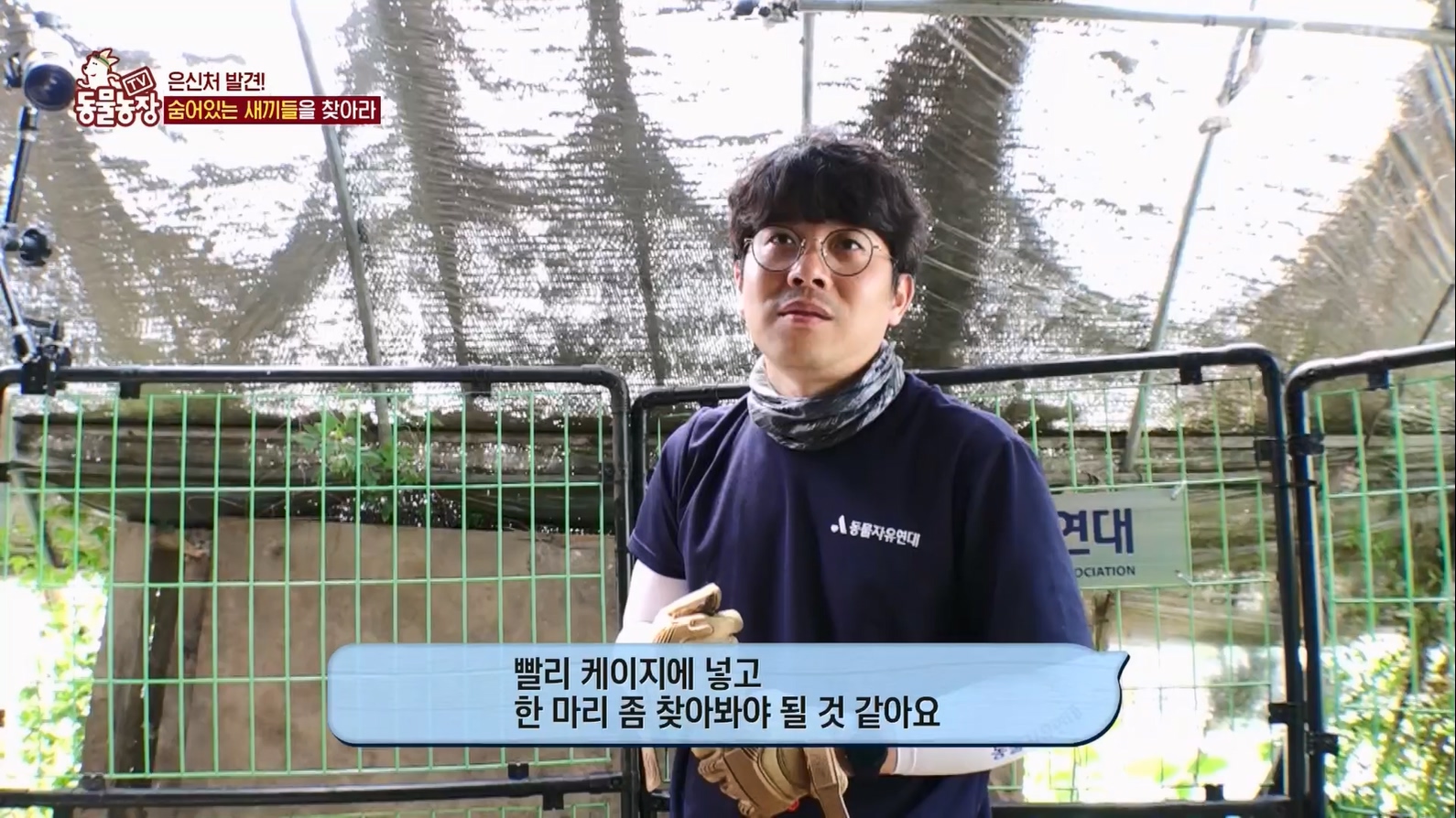 TV 동물농장.E1127.230702p.H264-F1RST.mp4_20230704_212712.137.jpg