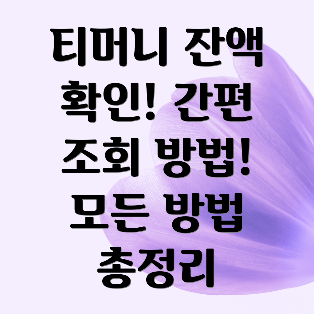 티머니 잔액조회