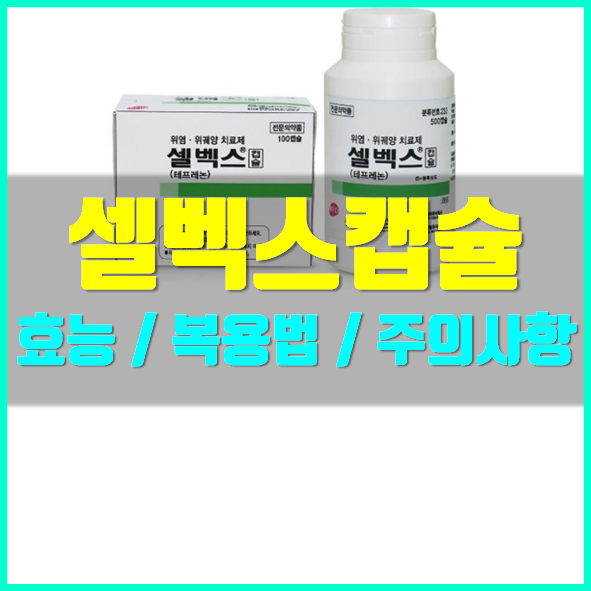  셀벡스캡슐 효능 부작용 정보