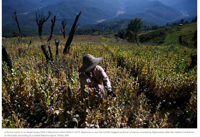 세계 최대 아편 생산국&#44; 아프가니스탄에서 미얀마로 Forget Afghanistan&#44; Myanmar is now the world’s top opium producer&#44; UN says