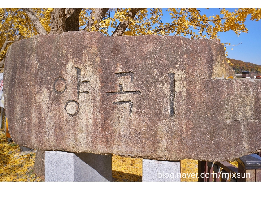 단풍구경 가볼만한 곳 괴산 가볼만한곳 28