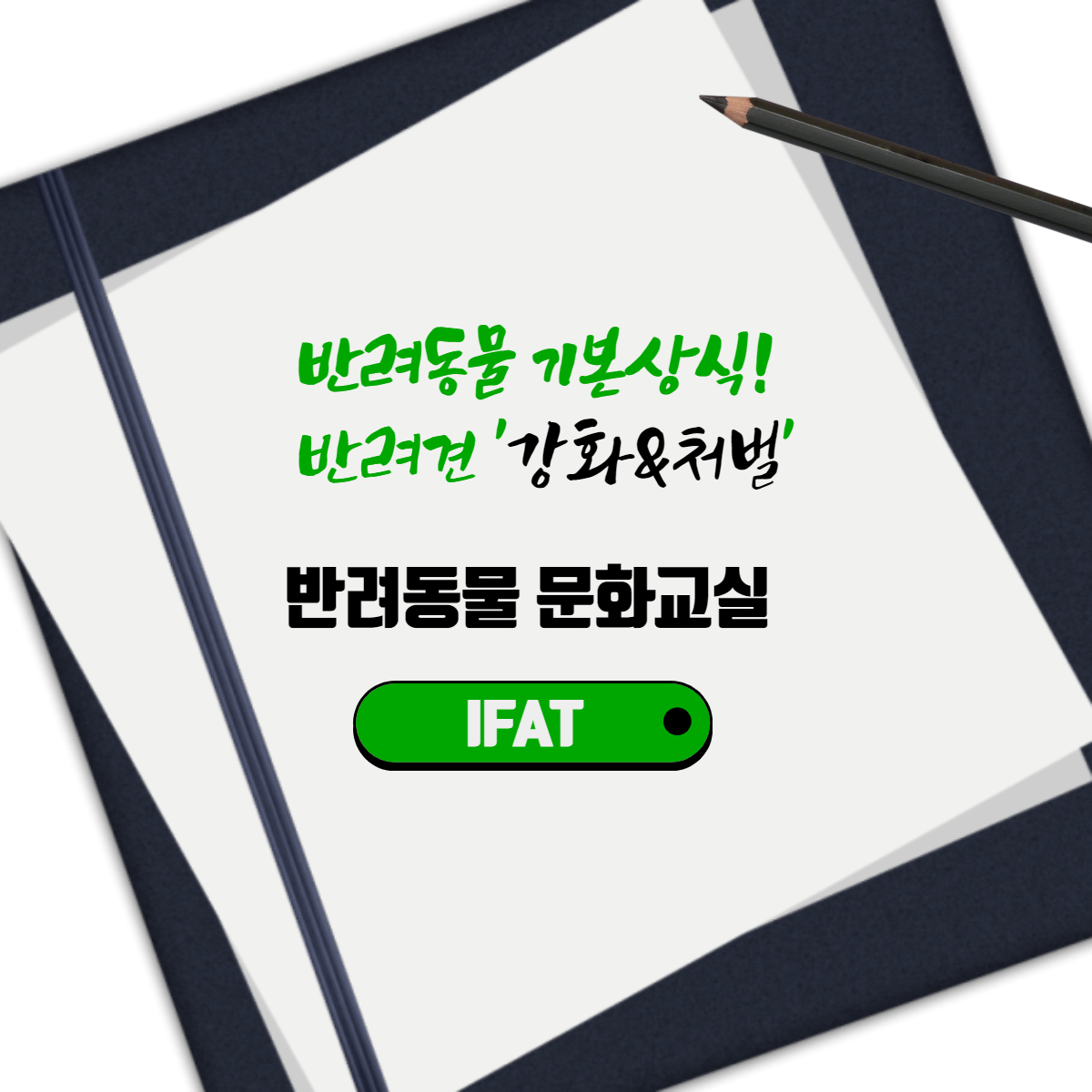  반려동물 기본상식! 반려견 '강화&처벌'