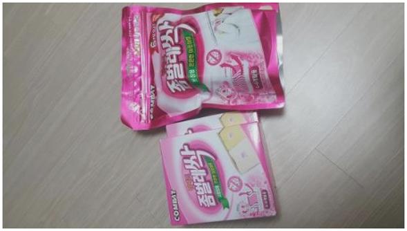 좀벌레 무나요