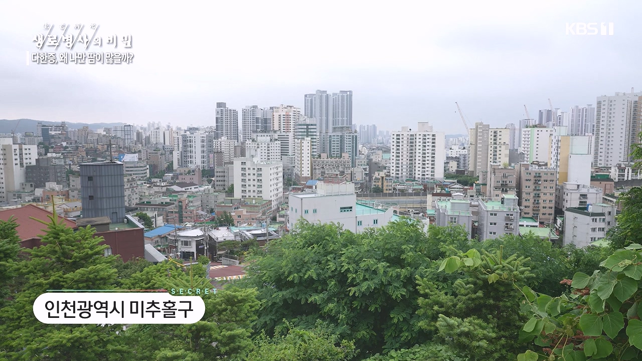 생로병사의 비밀.E882.230907p-NEXT.mp4_20230908_211839.628.jpg