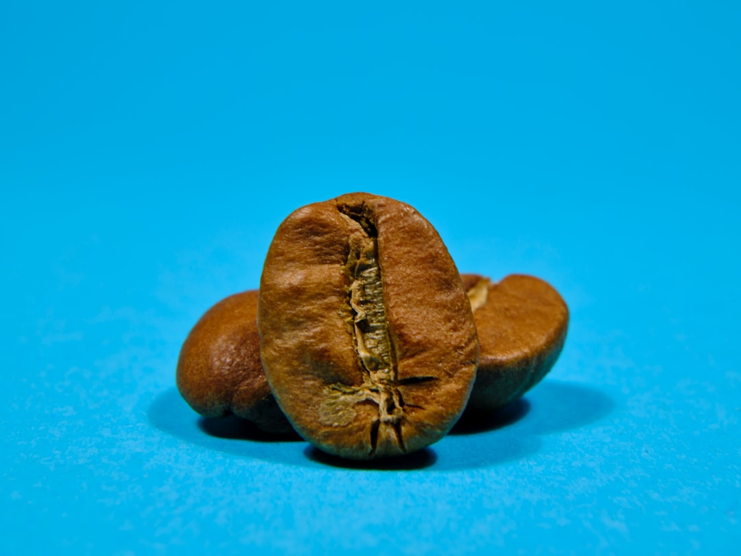Prostate