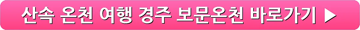 산속 온천 여행 경주 보문온천_21