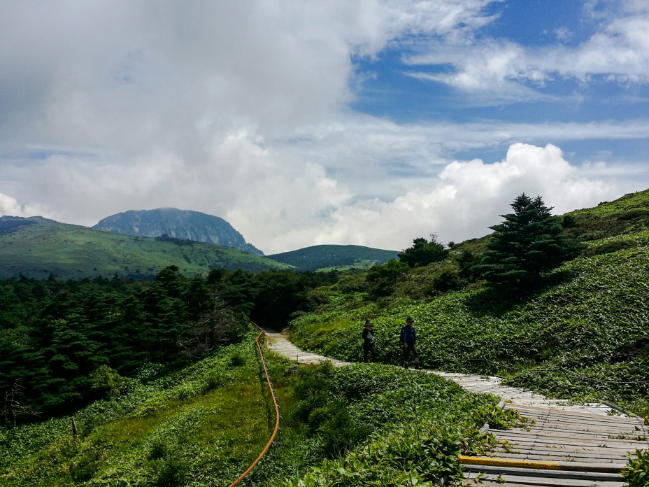 한국 명산 제주 한라산 어리목 윗세오름 등산 mountain hiking