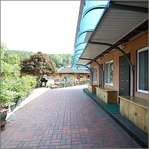 장성 축령산편백하우스펜션 (Jangseong Chungnyeongsan Pyeonbaek House Pension)_3