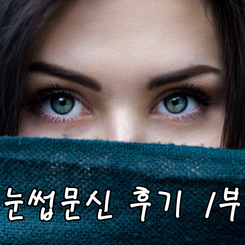  고르고 골라 간 눈썹문신 후기! 시술샵 고르는 법과 연락 팁- 눈썹문신 1부