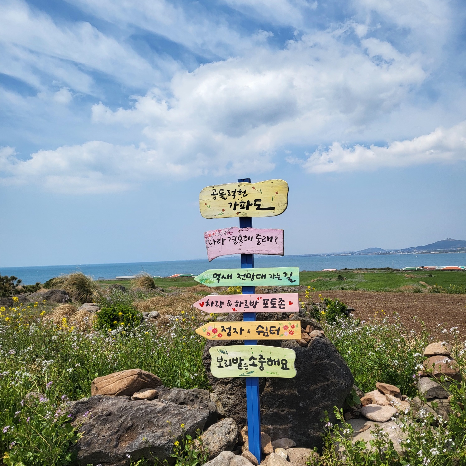 제주3