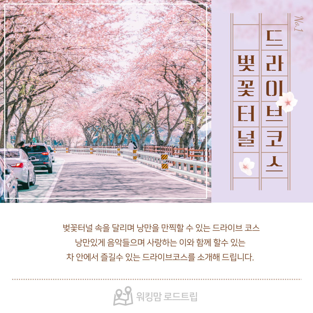 🌸 벚꽃터널 드라이브 코스 추천 ❘ 차 안에서 즐기는 로맨틱 벚꽃 여행 🌸-제작이미지
