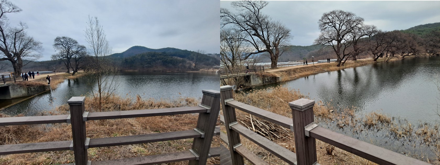 반곡지 전체 풍경