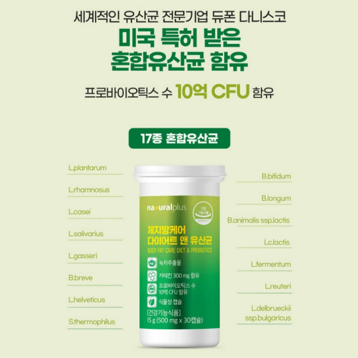 바디톡 체다컷 내돈내산 후기 부작용 성분 효능 복용법 가격