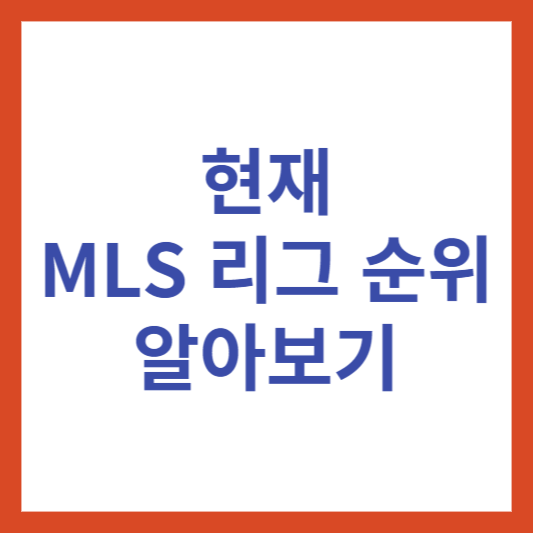 MLS 리그 : 미국 축구의 성장과 미래(현재 MLS 리그 순위)