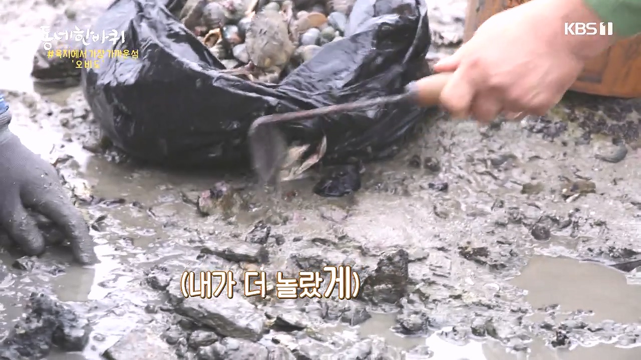 동네 한 바퀴.E243.231015p-NEXT.mp4_20231015_183646.027.jpg