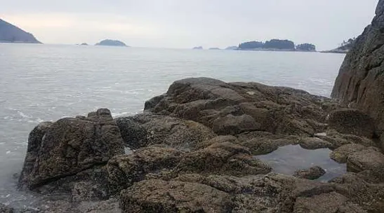 발포해수욕장