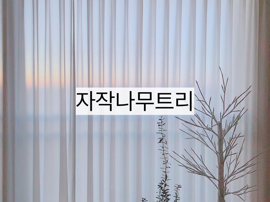 자작나무와 함께 화이트 크리스마스 준비 10