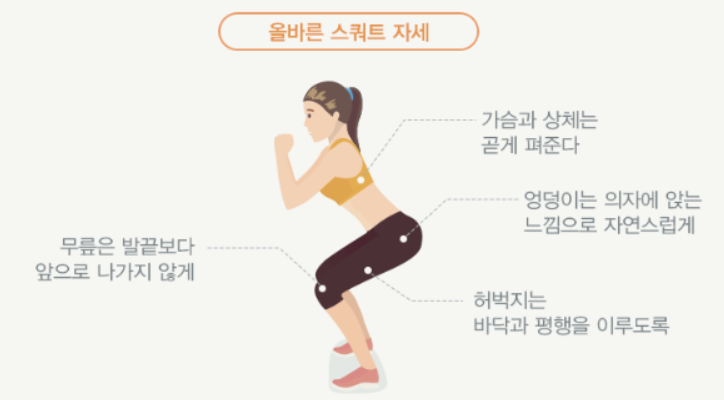  올바른 스쿼트 운동법 및 다양한 접근방법