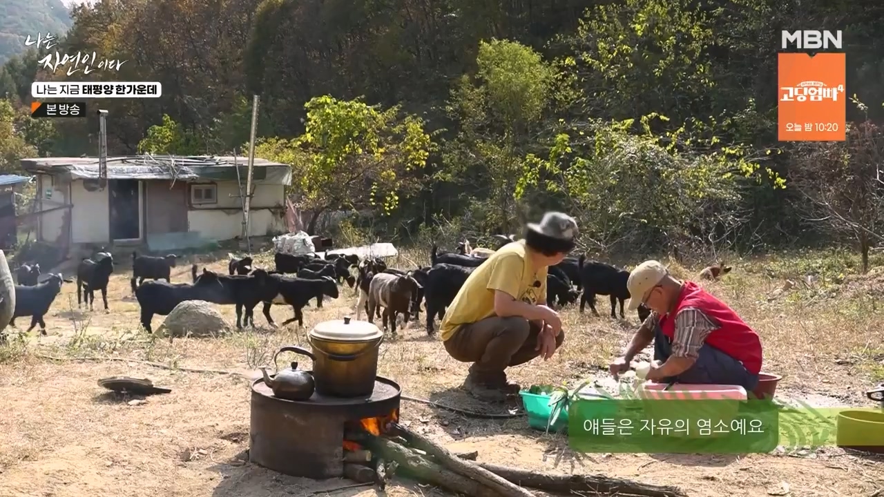 나는 자연인이다.E581.231123p-NEXT.mp4_20231123_200716.502.jpg