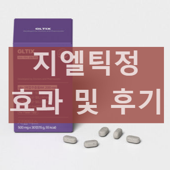 지엘틱정