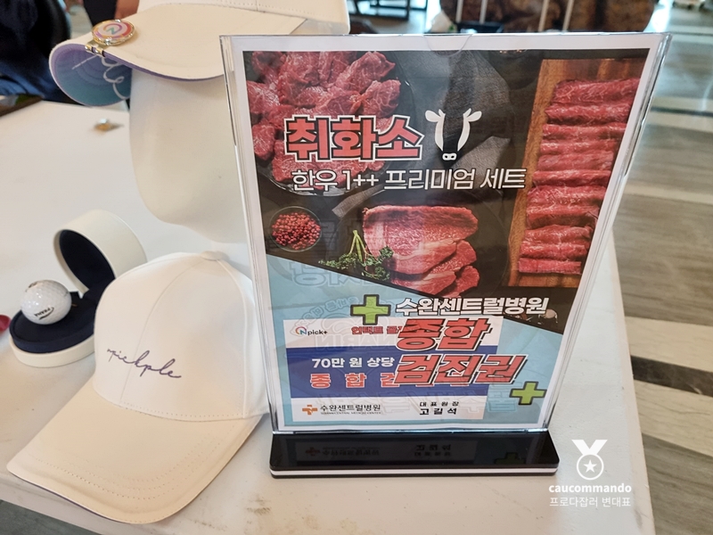 연예인 골프 순위 연예인들이 참여하는 1