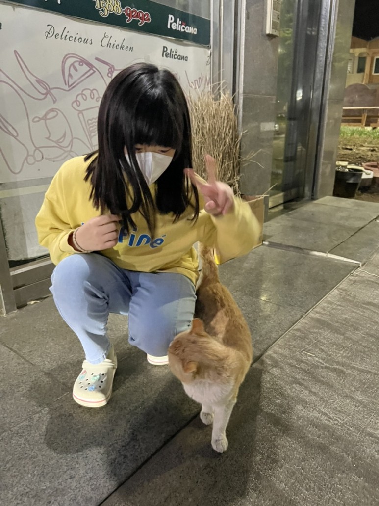 고양이 간택 고양이 9