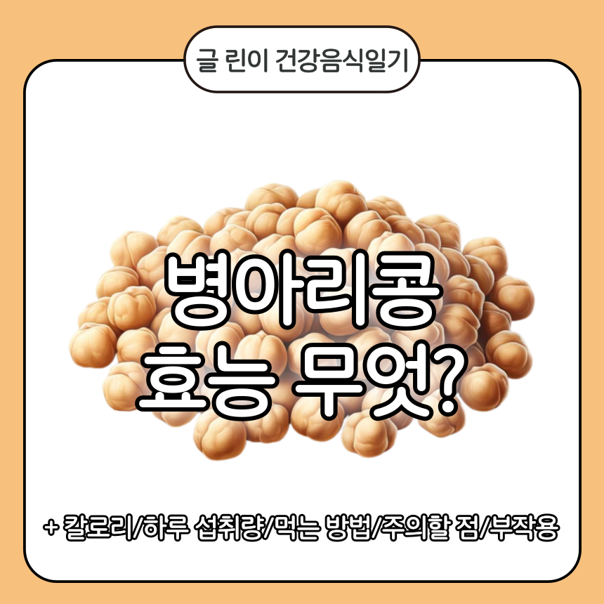 병아리콩 효능