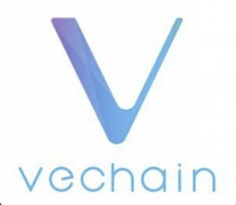  비체인(VET) 코인 전망