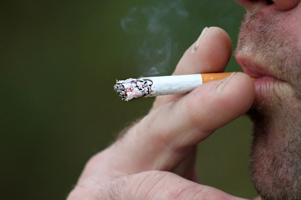 흡연으로 인한 폐암 발병