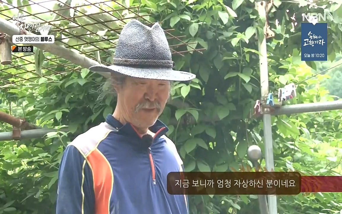 나는 자연인이다.E505.220609p-NEXT.mp4_20220609_200150.618.jpg