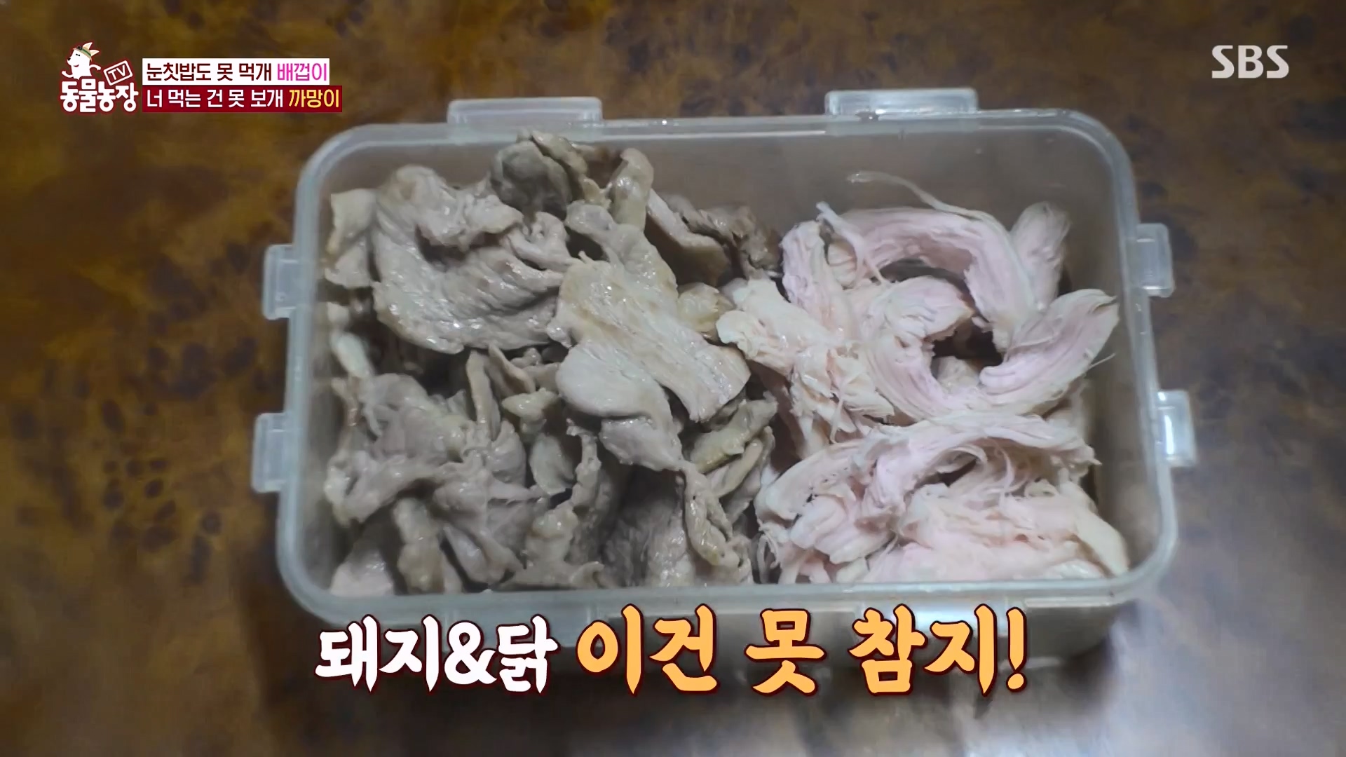 TV 동물농장.E1157.240204p-NEXT.mp4_20240204_172348.644.jpg