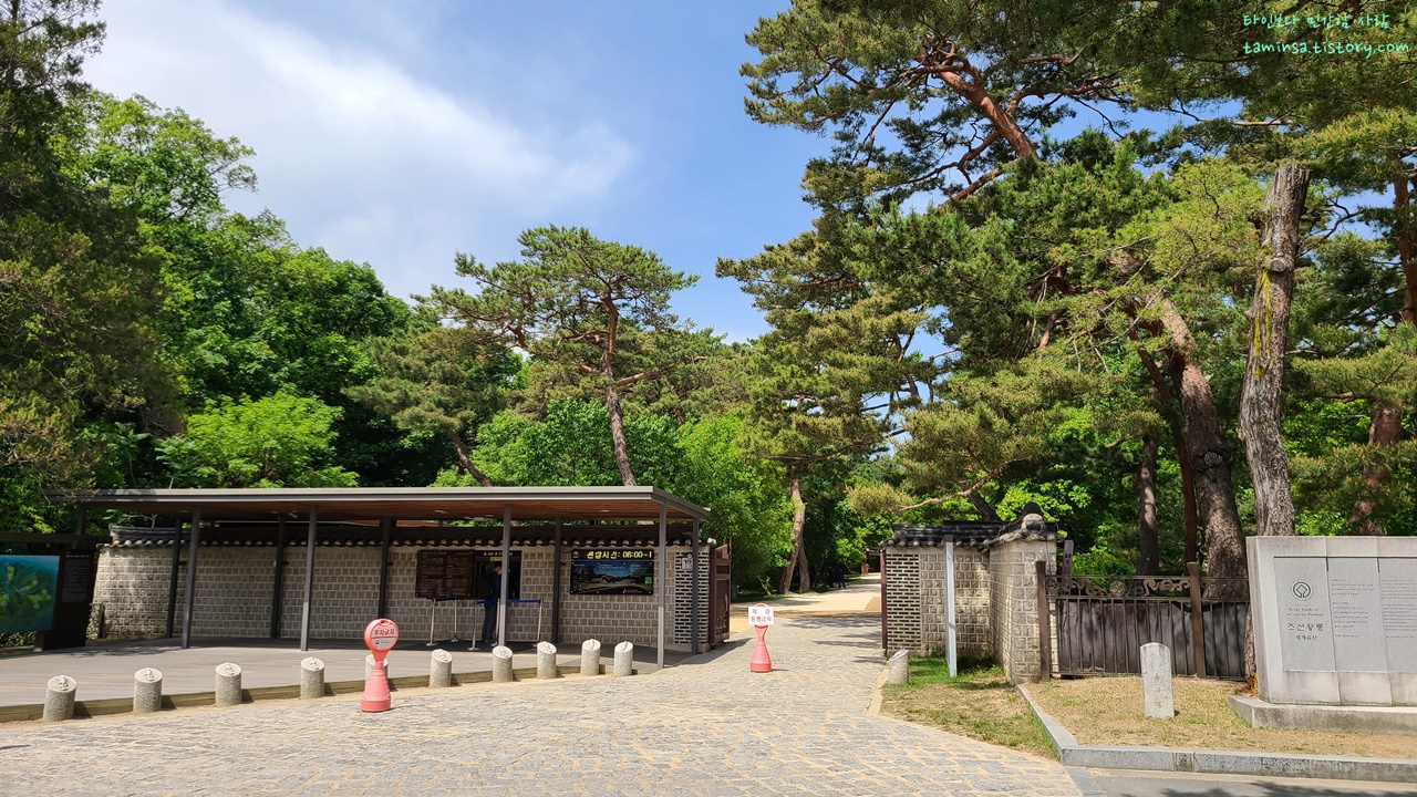 동구릉숲길개방