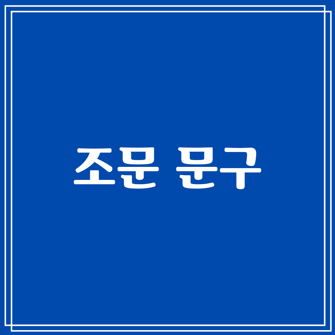 조문 문구