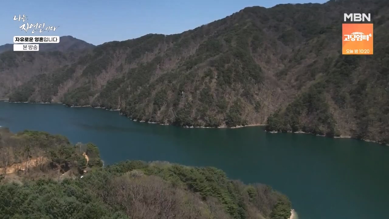 나는 자연인이다.E604.240509p-NEXT.mp4_20240509_195718.597.jpg