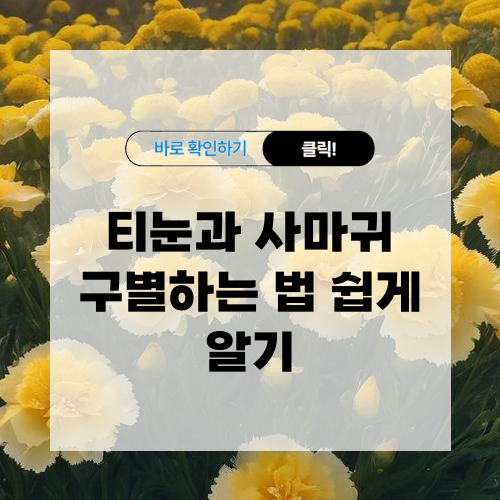 티눈 사마귀 구별하는 방법 알아보기