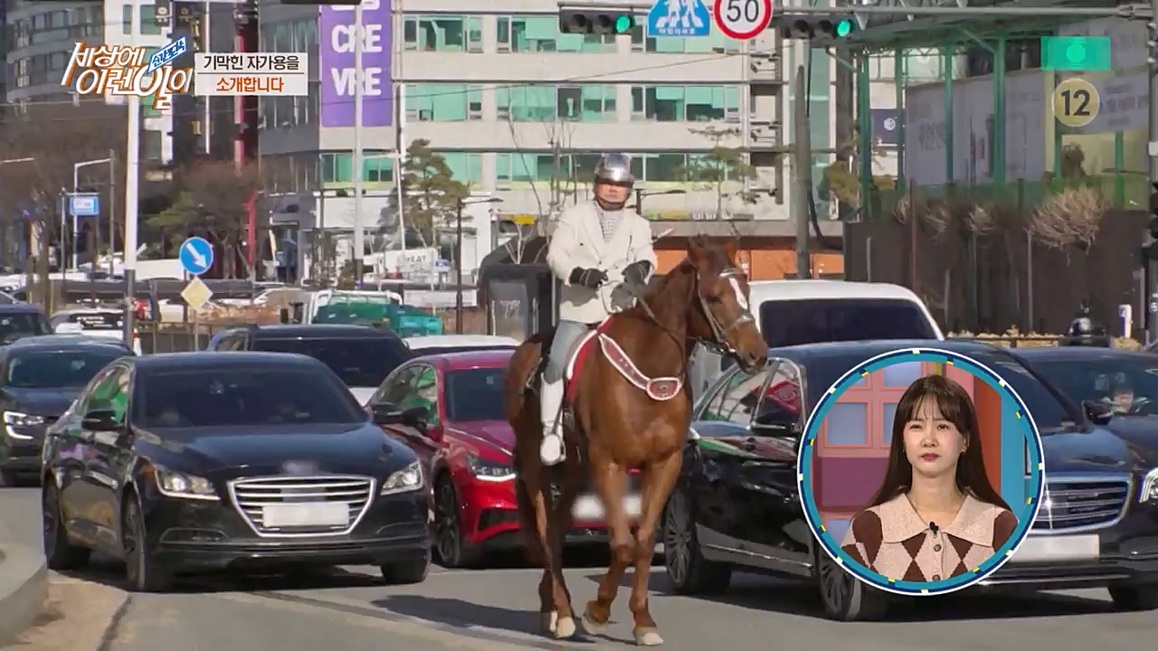 순간포착 세상에 이런일이.E1216.230208p-NEXT.mp4_20230208_194157.381.jpg