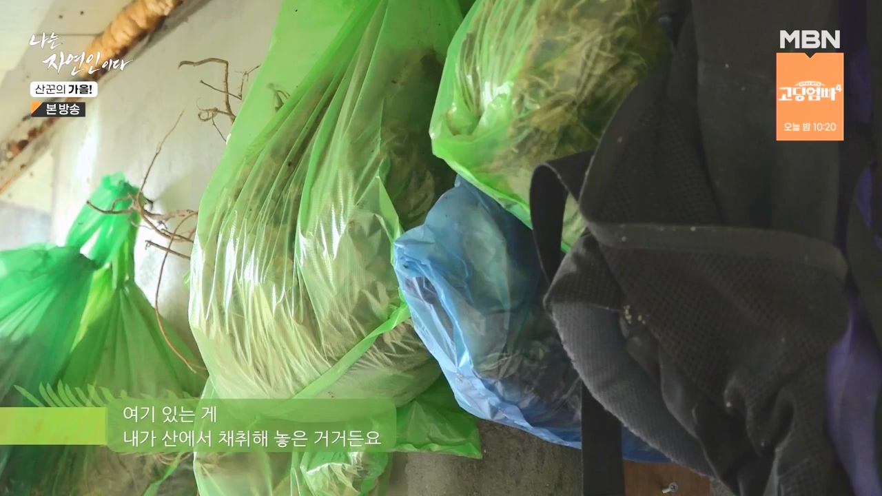 나는 자연인이다.E574.231005p-NEXT.mp4_20231005_200552.784.jpg