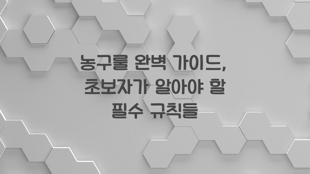 농구룰
