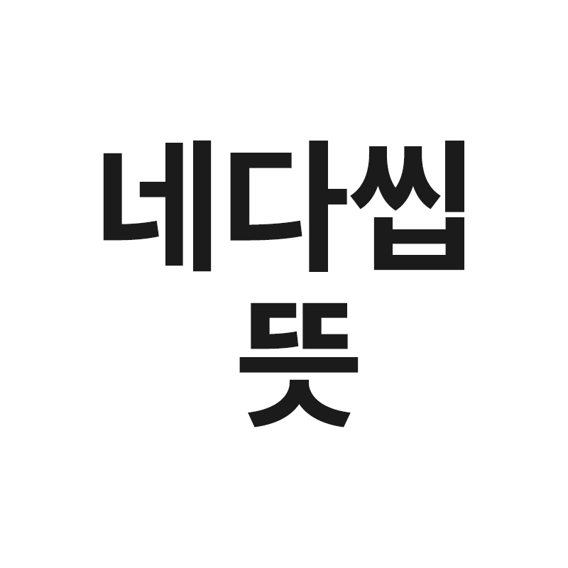  네다씹 뜻을 알려드립니다