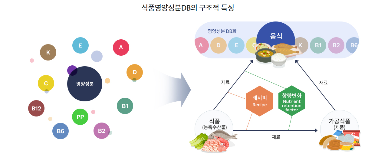  식품영양성분 데이터 활용편 - 3
