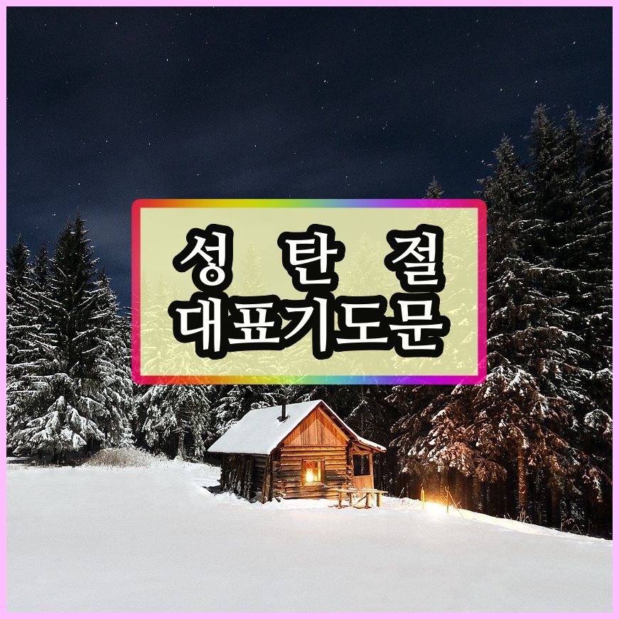  성탄절 대표기도문