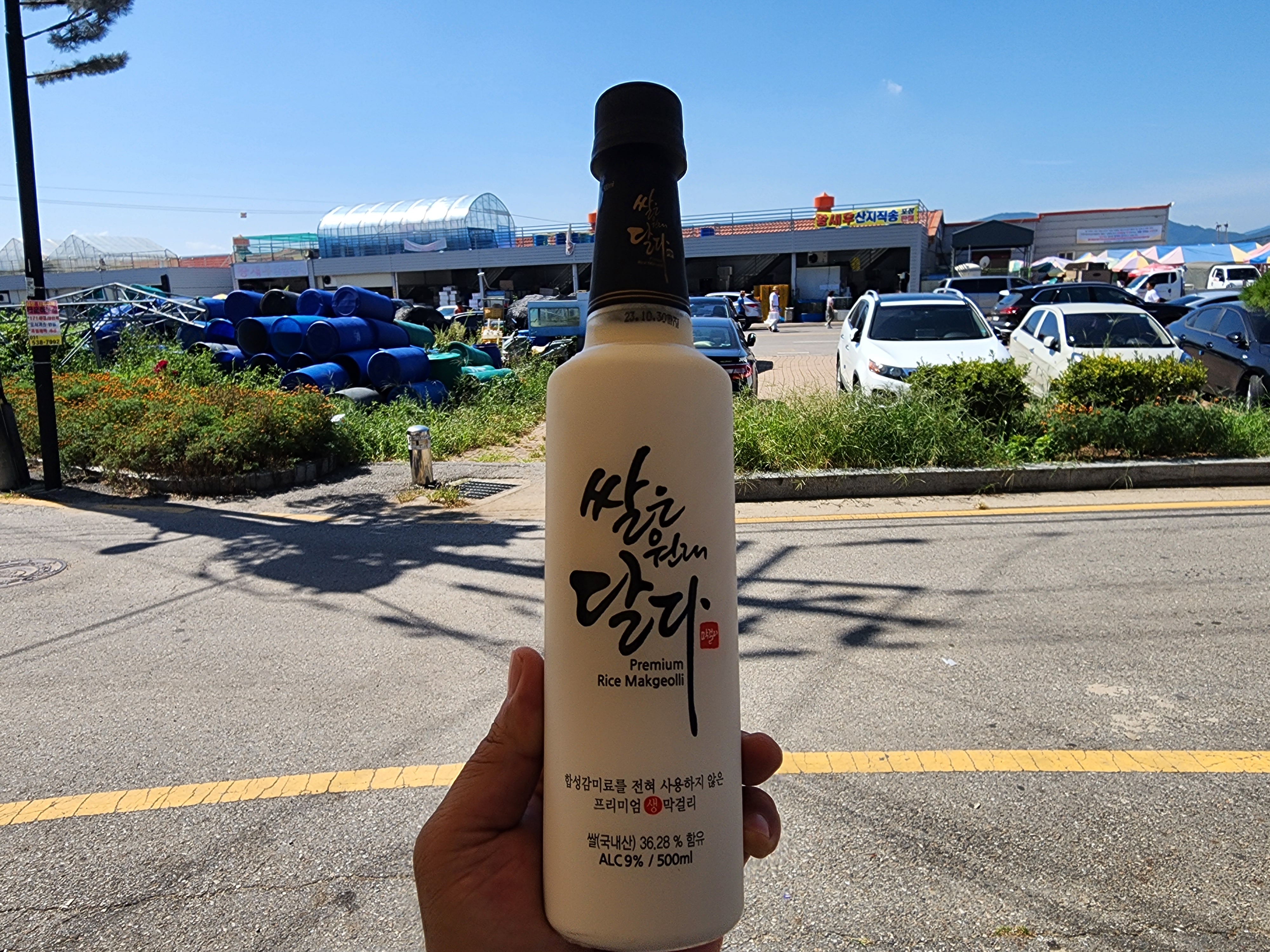 쌀은 원래 달다! 내돈내산 인천탁주의 프리미엄 막걸리